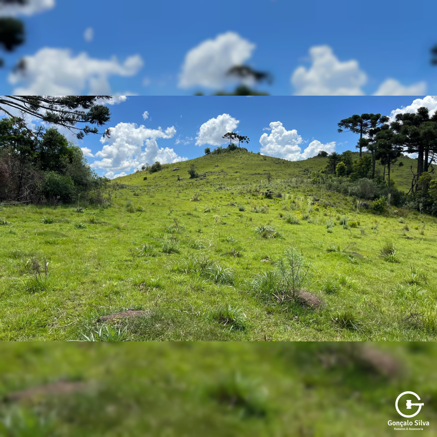 Área de 306 Hectares em Cazuza Ferreira