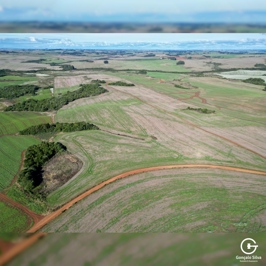 103 Hectares em Muitos Capões