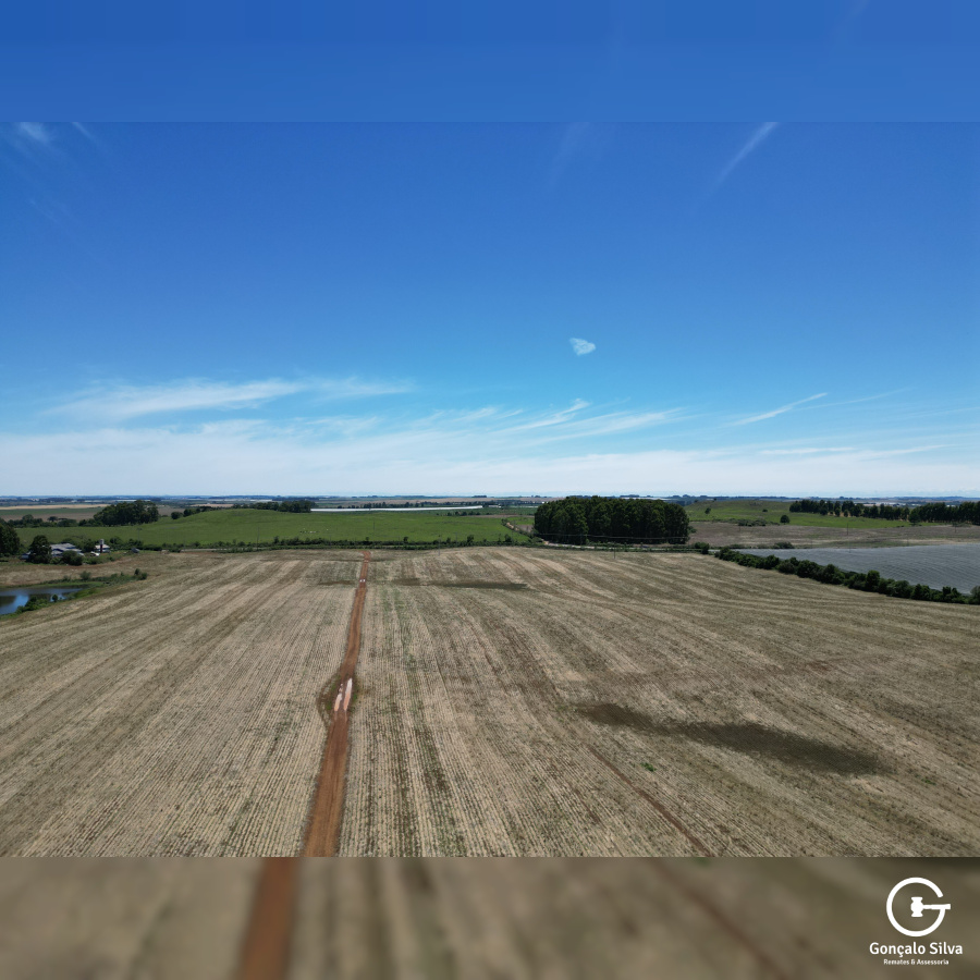 Área com 53 Hectares em Vacaria