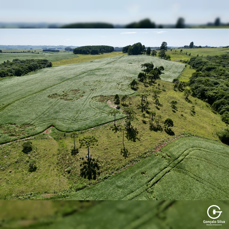 Fazenda com 93 Hectares em Muitos Capões