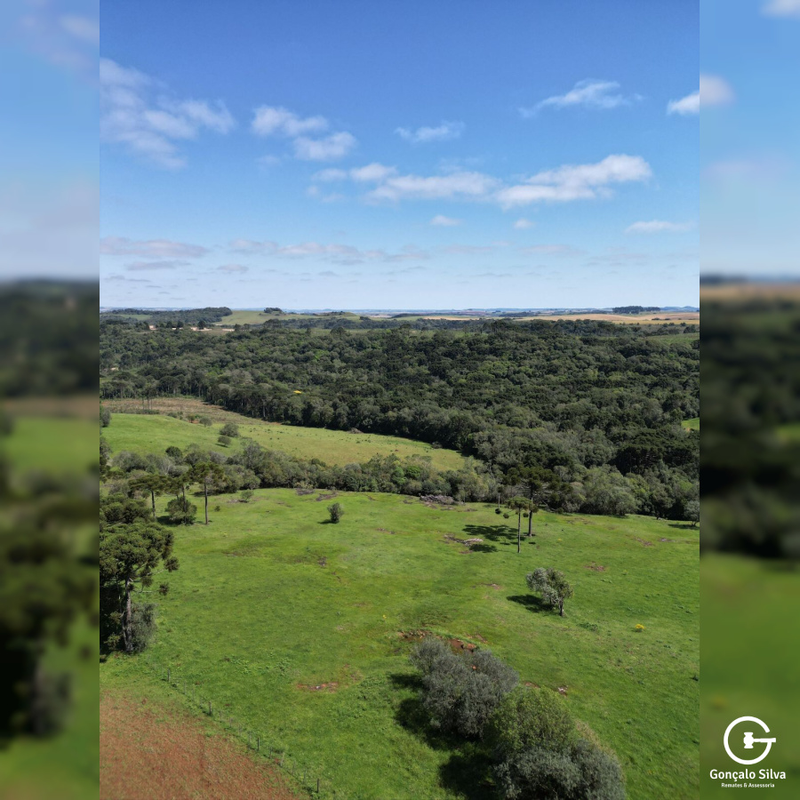 Cabanha com 61 Hectares em Muitos Capões
