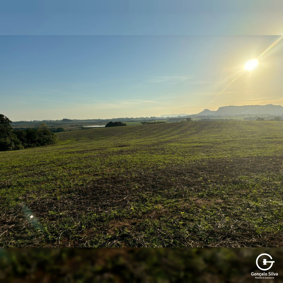 140 Hectares em Glorinha/Rs