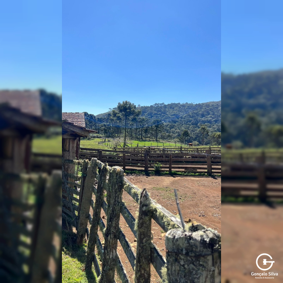 282 Hectares em Bom Jardim da Serra/SC