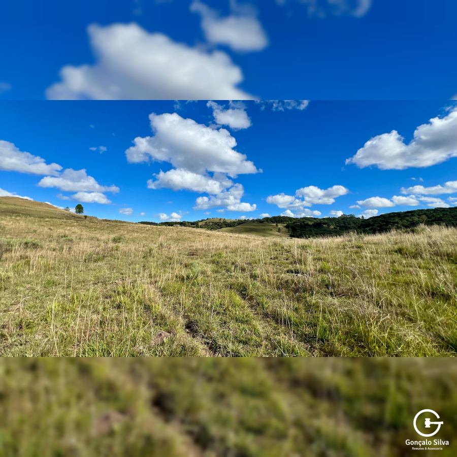 Fazenda com 277 Hectares em São Francisco de Paula