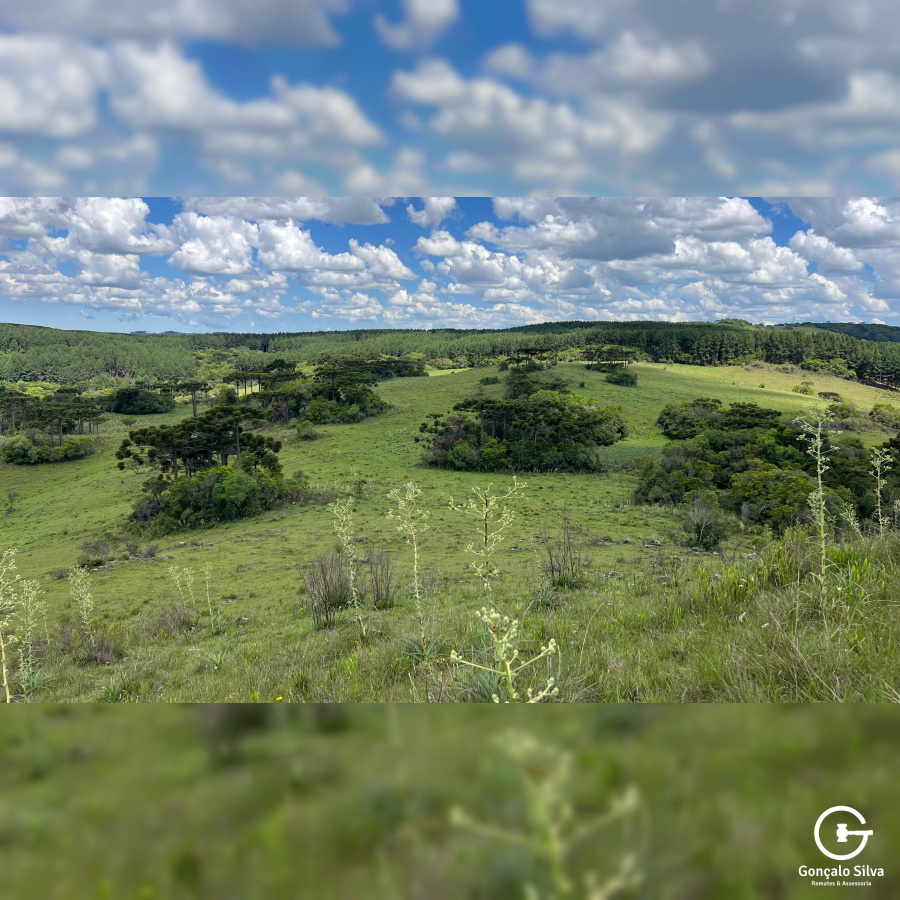 Área de 306 Hectares em Cazuza Ferreira
