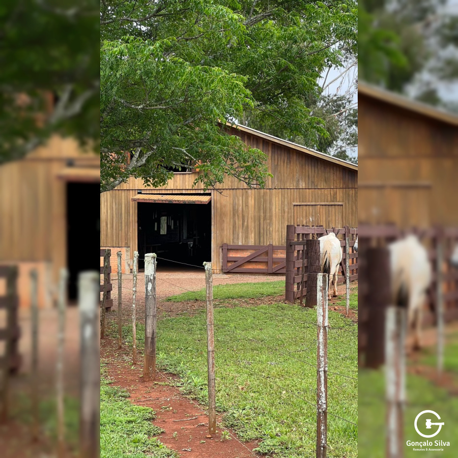 Cabanha com 61 Hectares em Muitos Capões