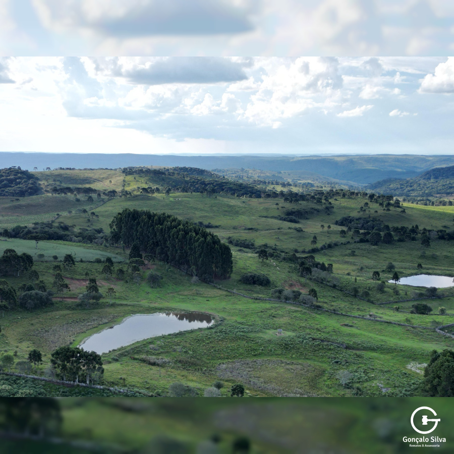 Fazenda com 1.590 Hectares em Santa Catarina