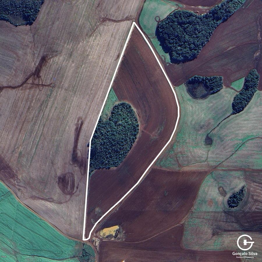 103 Hectares em Muitos Capões