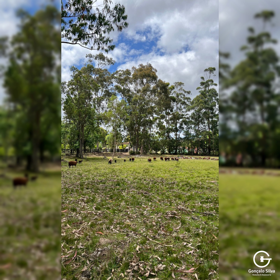 Área para Cabanha ou Centro de Treinamento