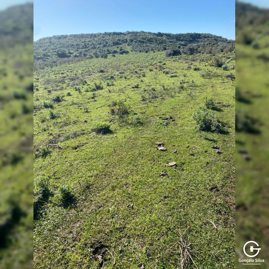Fazenda com 715 Hectares em Santana do Livramento