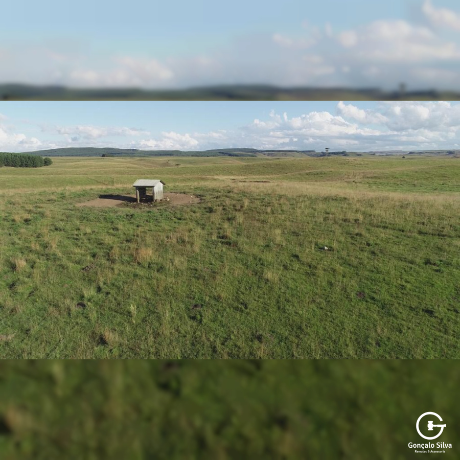 Fazenda com 910 Hectares em Jaquirana