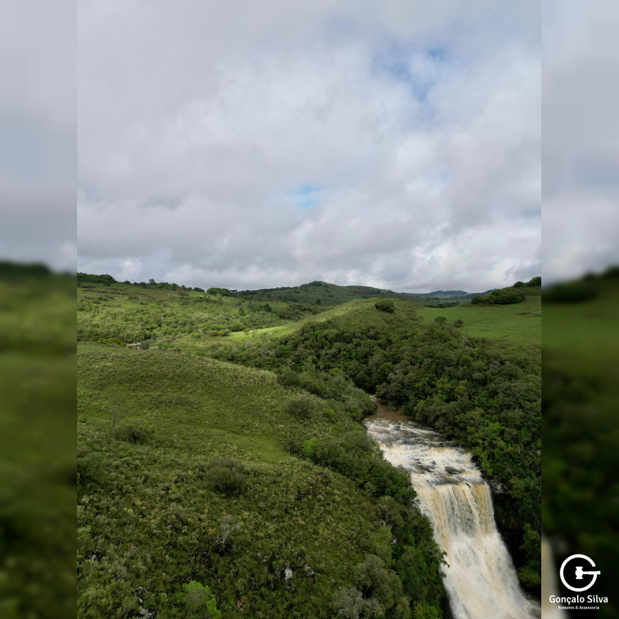 Área de 91 Hectares em Vacaria