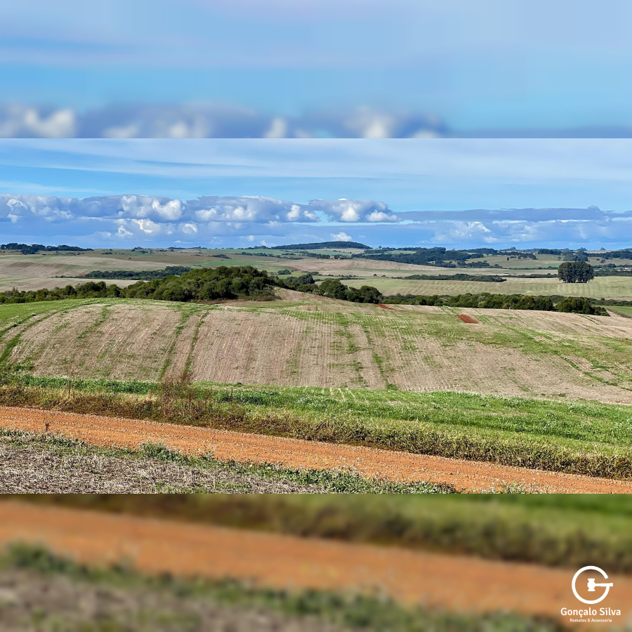 103 Hectares em Muitos Capões