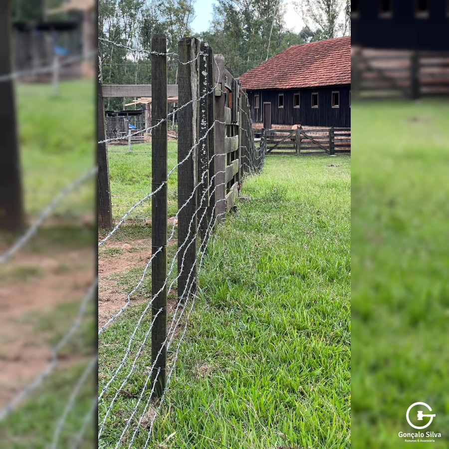 Chácara com 04 Hectares em Gramado