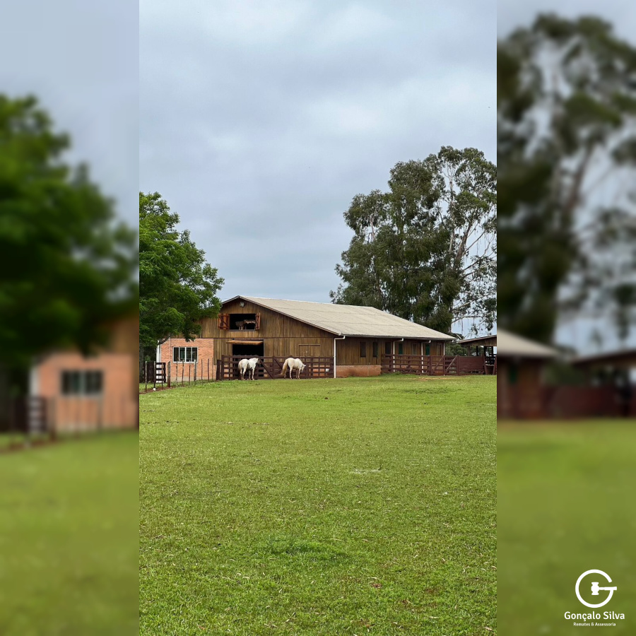 Cabanha com 61 Hectares em Muitos Capões