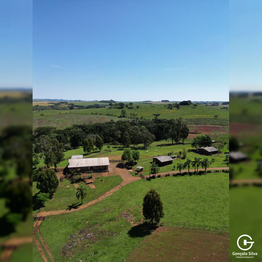 Cabanha com 61 Hectares em Muitos Capões