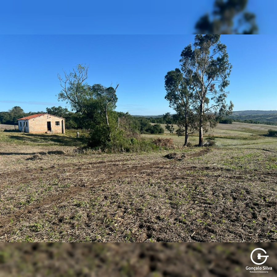 60 Hectares em Pinheiro Machado/Rs