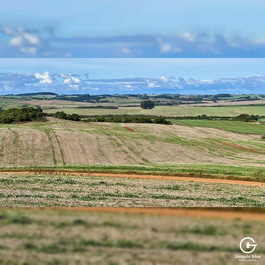 103 Hectares em Muitos Capões