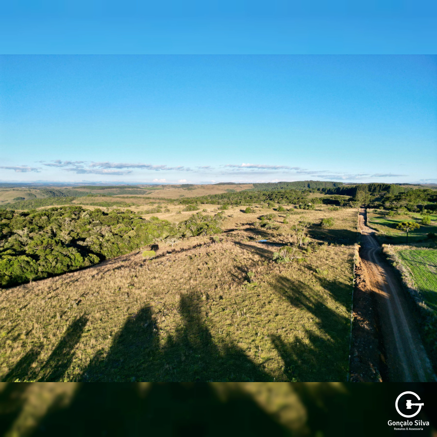 Área de 450 Hectares em Jaquirana