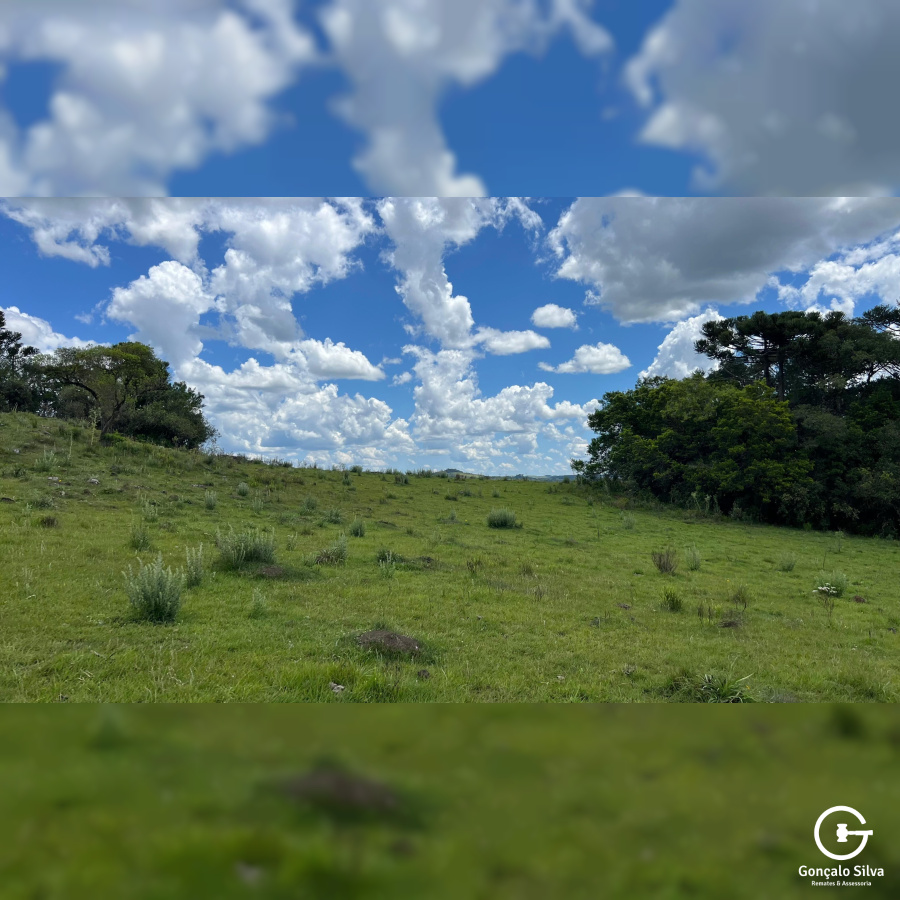 Área de 306 Hectares em Cazuza Ferreira
