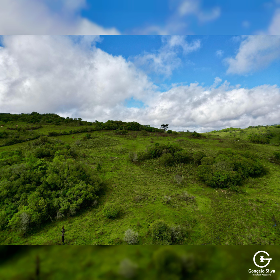 Área de 91 Hectares em Vacaria
