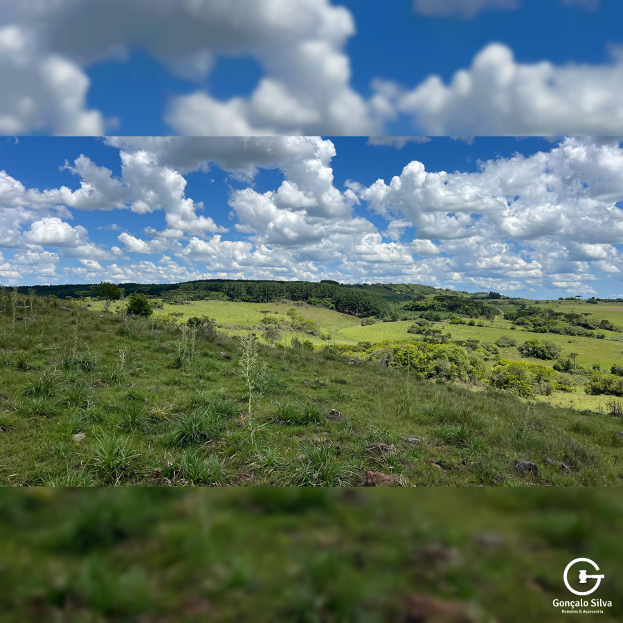 Área de 306 Hectares em Cazuza Ferreira