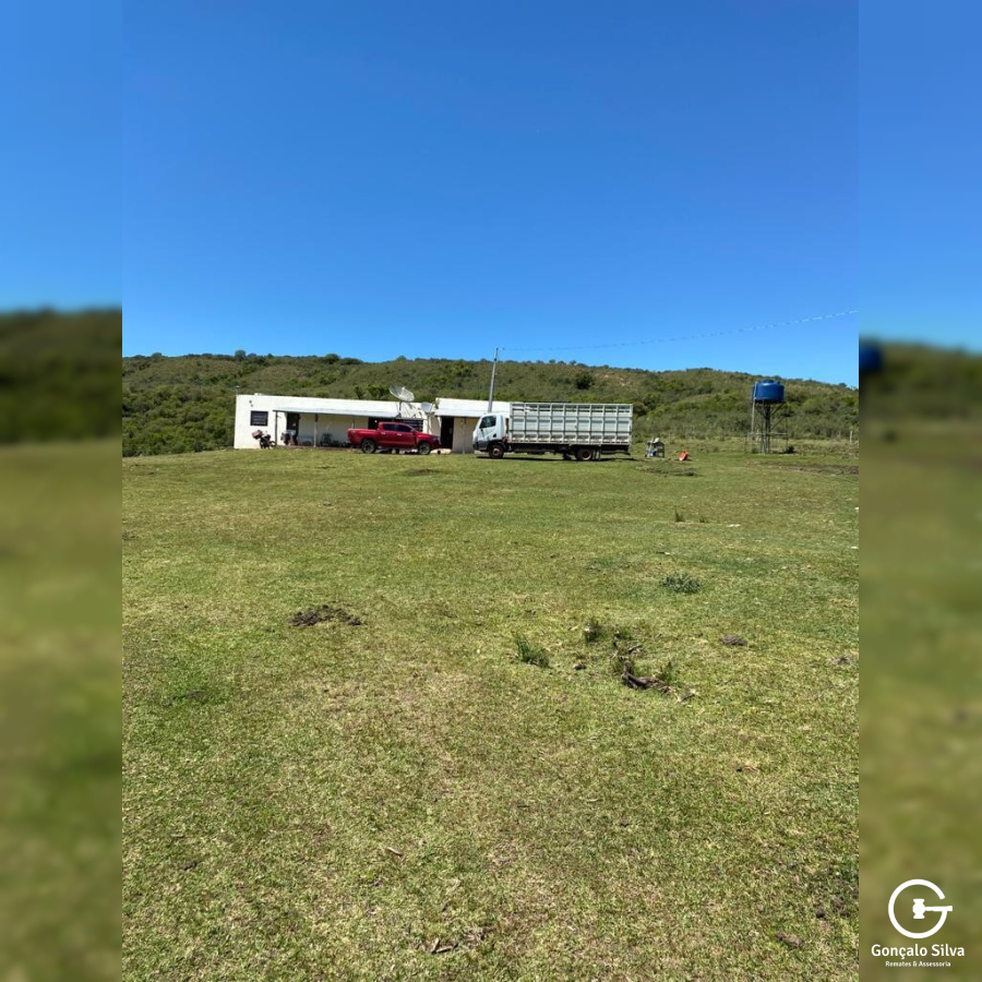 Fazenda com 715 Hectares em Santana do Livramento