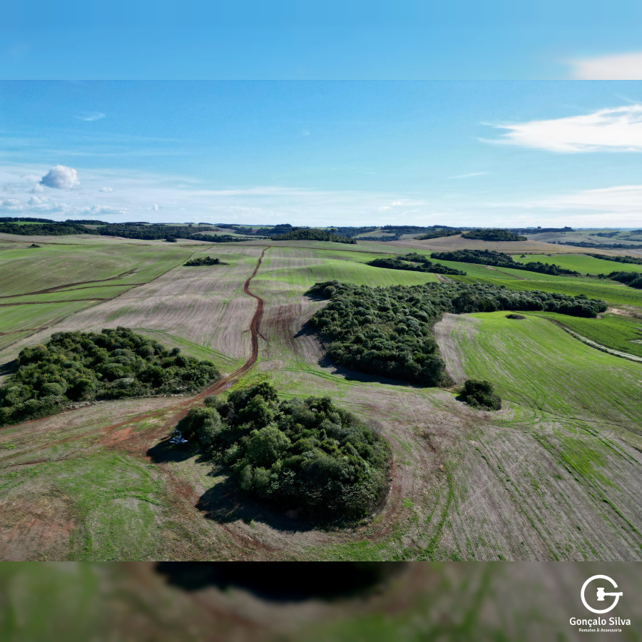 103 Hectares em Muitos Capões