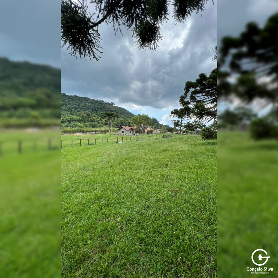 Chácara com 04 Hectares em Gramado