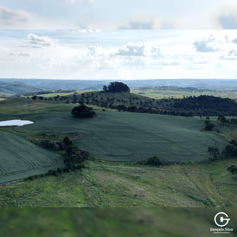 Fazenda com 1.590 Hectares em Santa Catarina