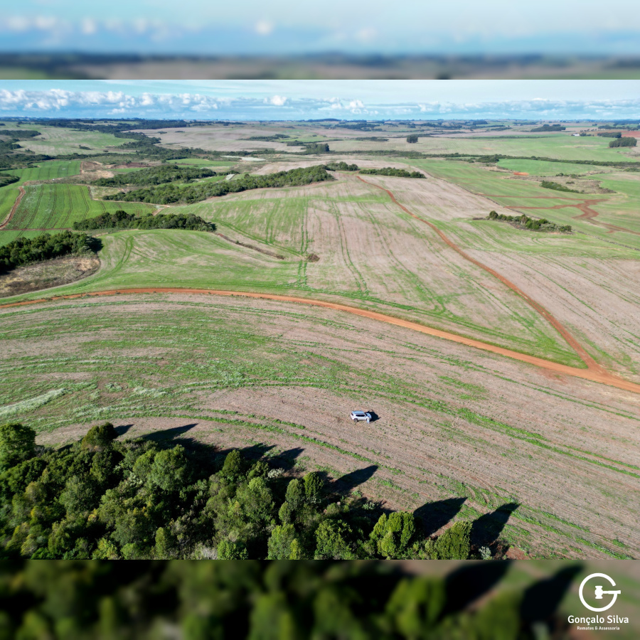 103 Hectares em Muitos Capões