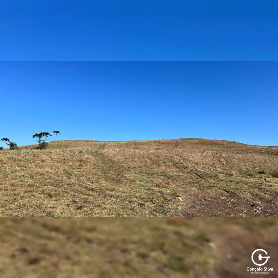 Fazenda com 223 Hectares em São Francisco de Paula