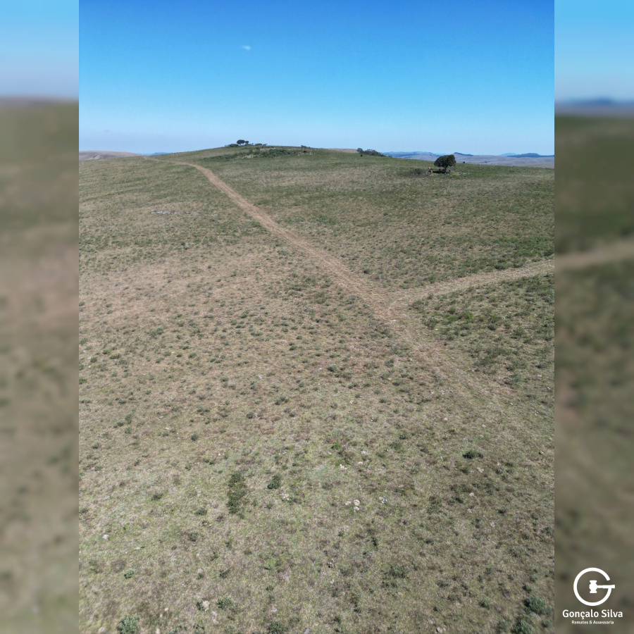 282 Hectares em Bom Jardim da Serra/SC