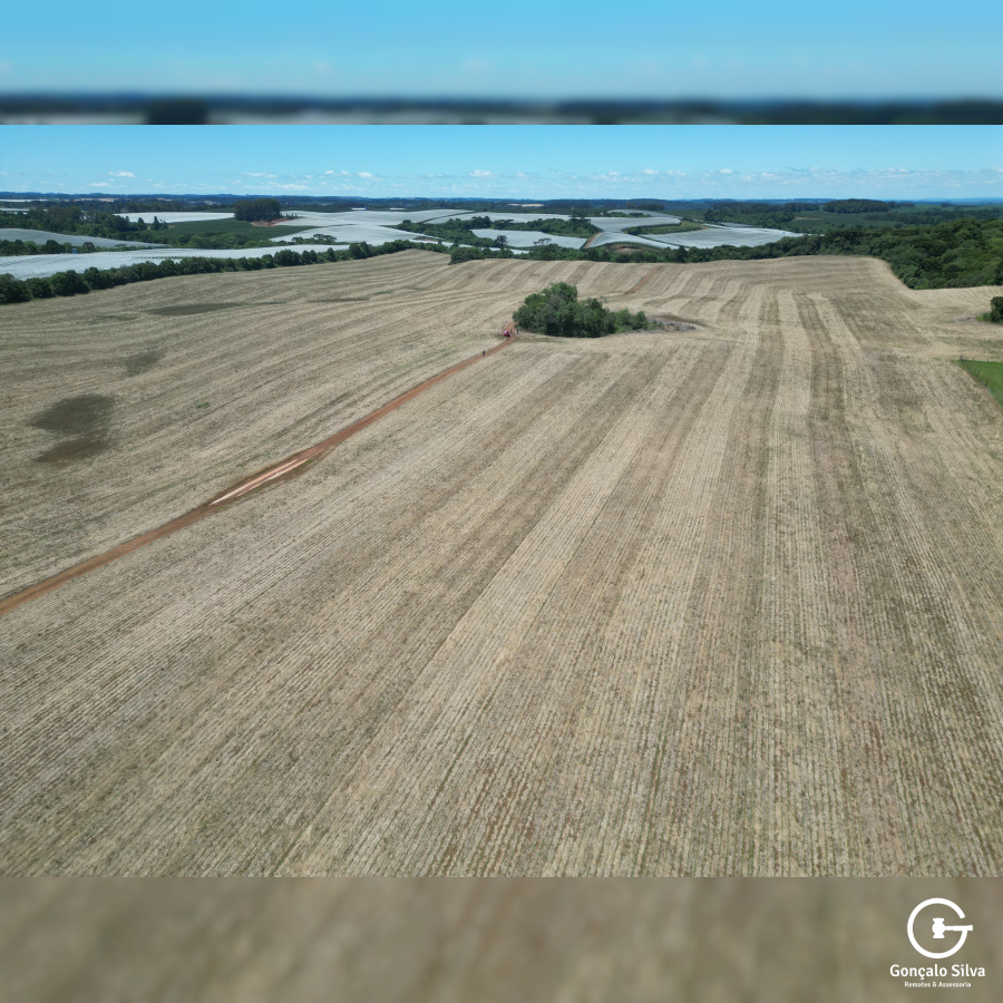 Área com 53 Hectares em Vacaria