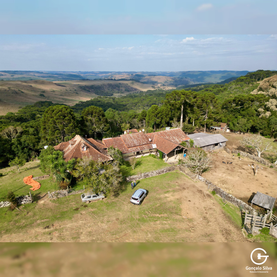 Fazenda com 223 Hectares em São Francisco de Paula