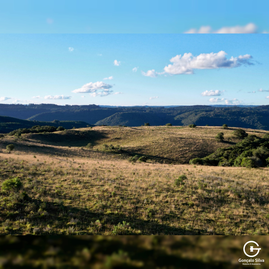 Área de 450 Hectares em Jaquirana