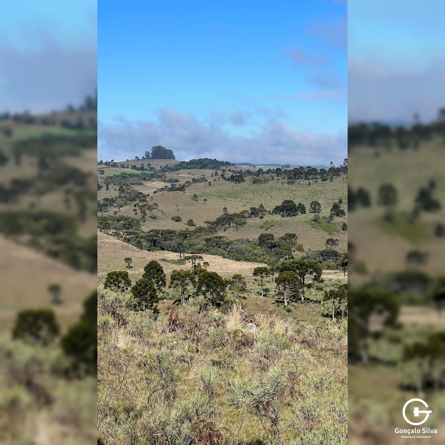 Fazenda com 1.590 Hectares em Santa Catarina