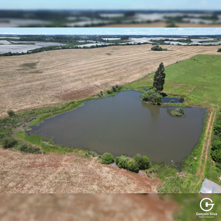 Área com 53 Hectares em Vacaria
