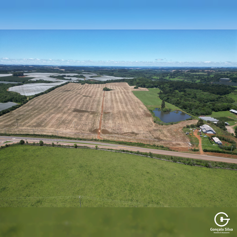 Área com 53 Hectares em Vacaria
