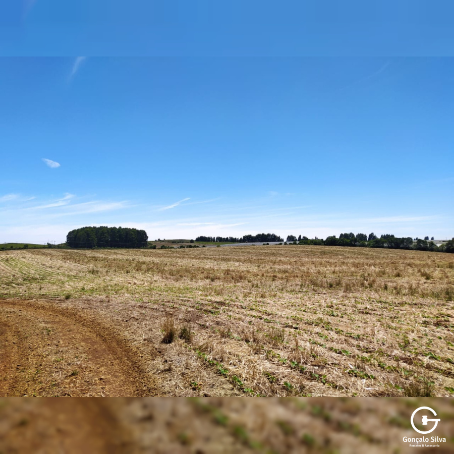 Área com 53 Hectares em Vacaria