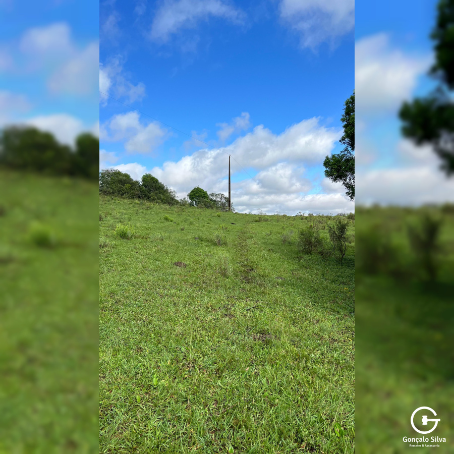 Área de 91 Hectares em Vacaria