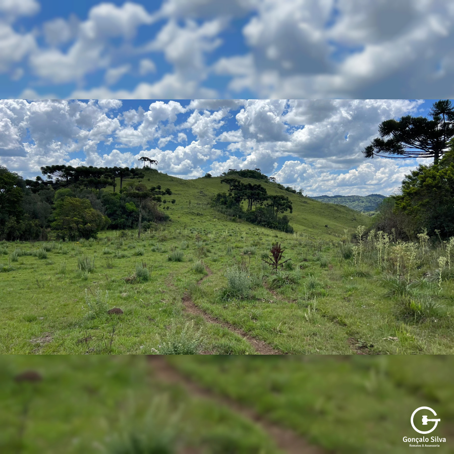 Área de 306 Hectares em Cazuza Ferreira