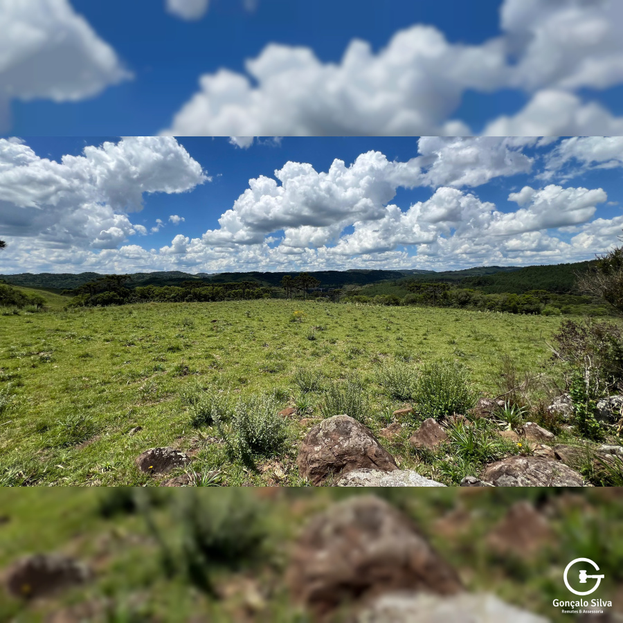 Área de 306 Hectares em Cazuza Ferreira