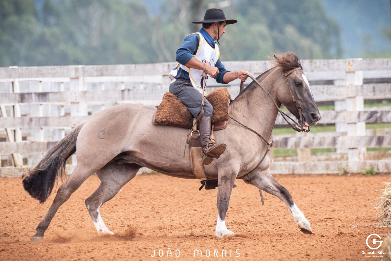 ÉGUA CRAQUE DE PALETEADA