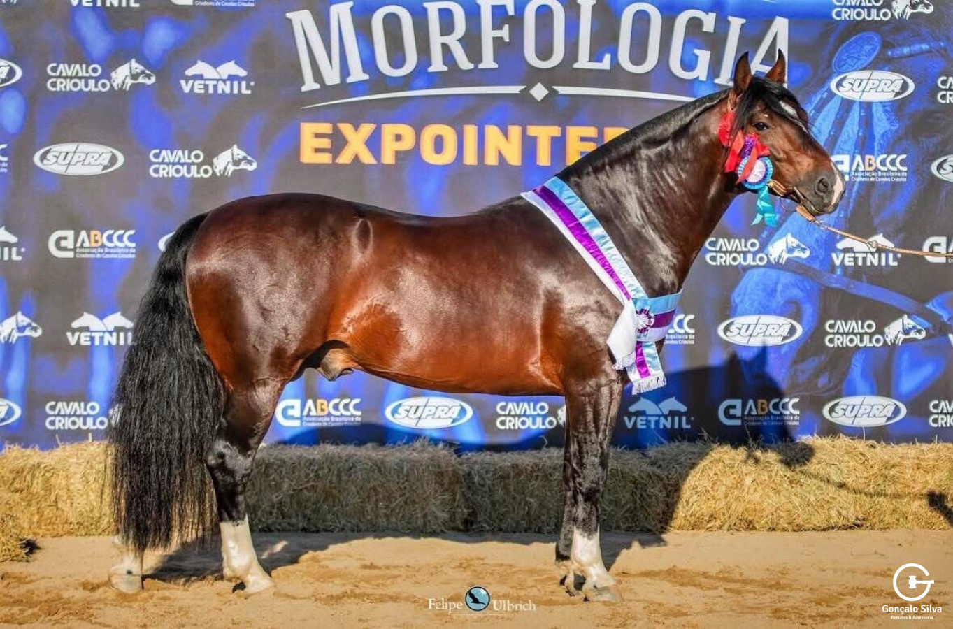 01 COBERTURA JALISCO DA GAP SAO PEDRO 