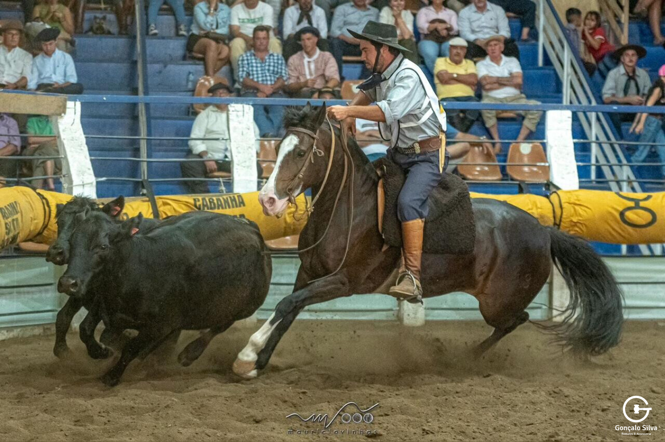 EGUA DOMADA - FINALISTA FREIO DO PROPRIETARIO