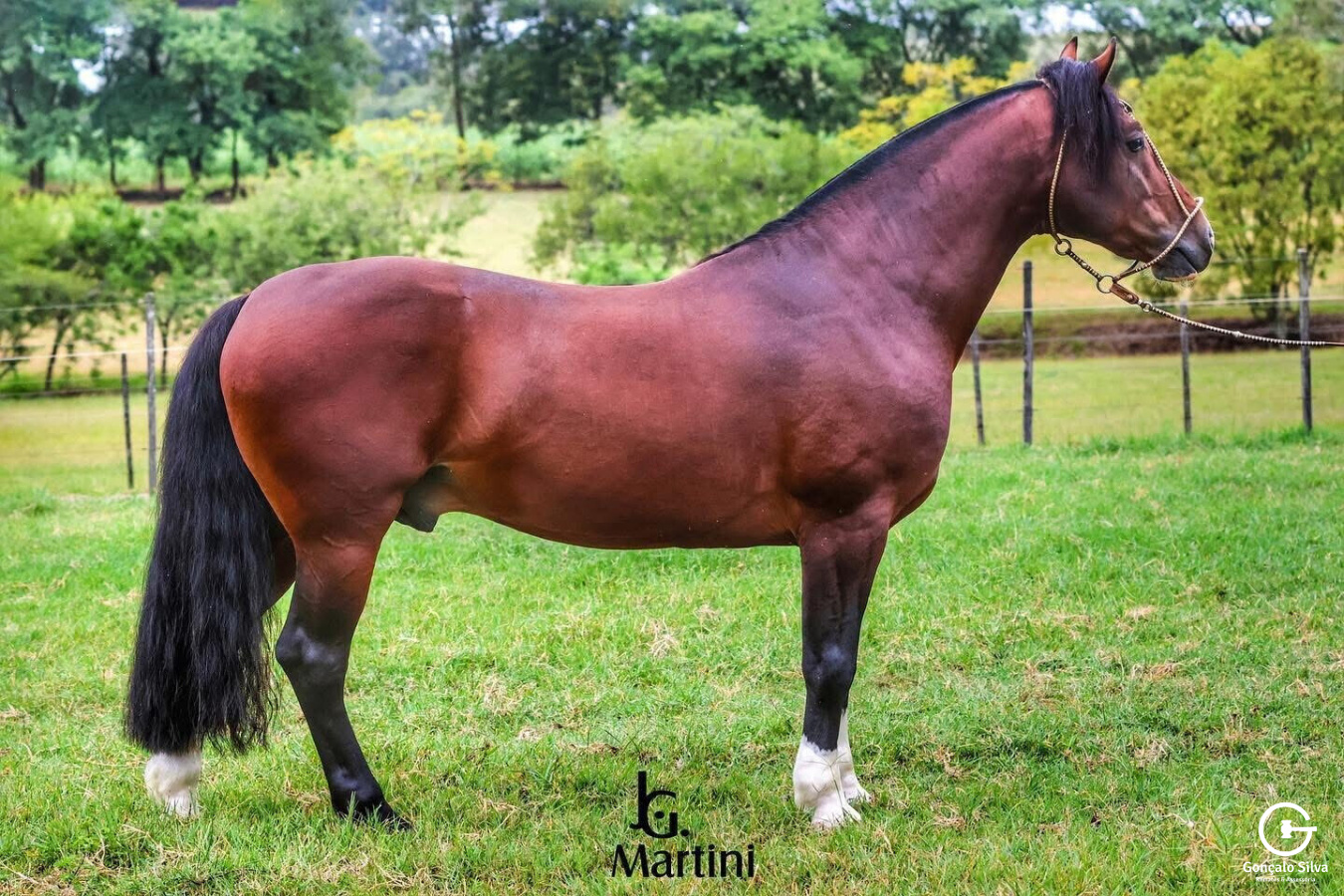 BUENO DE QUARACI - Direito de uso 1 cobertura