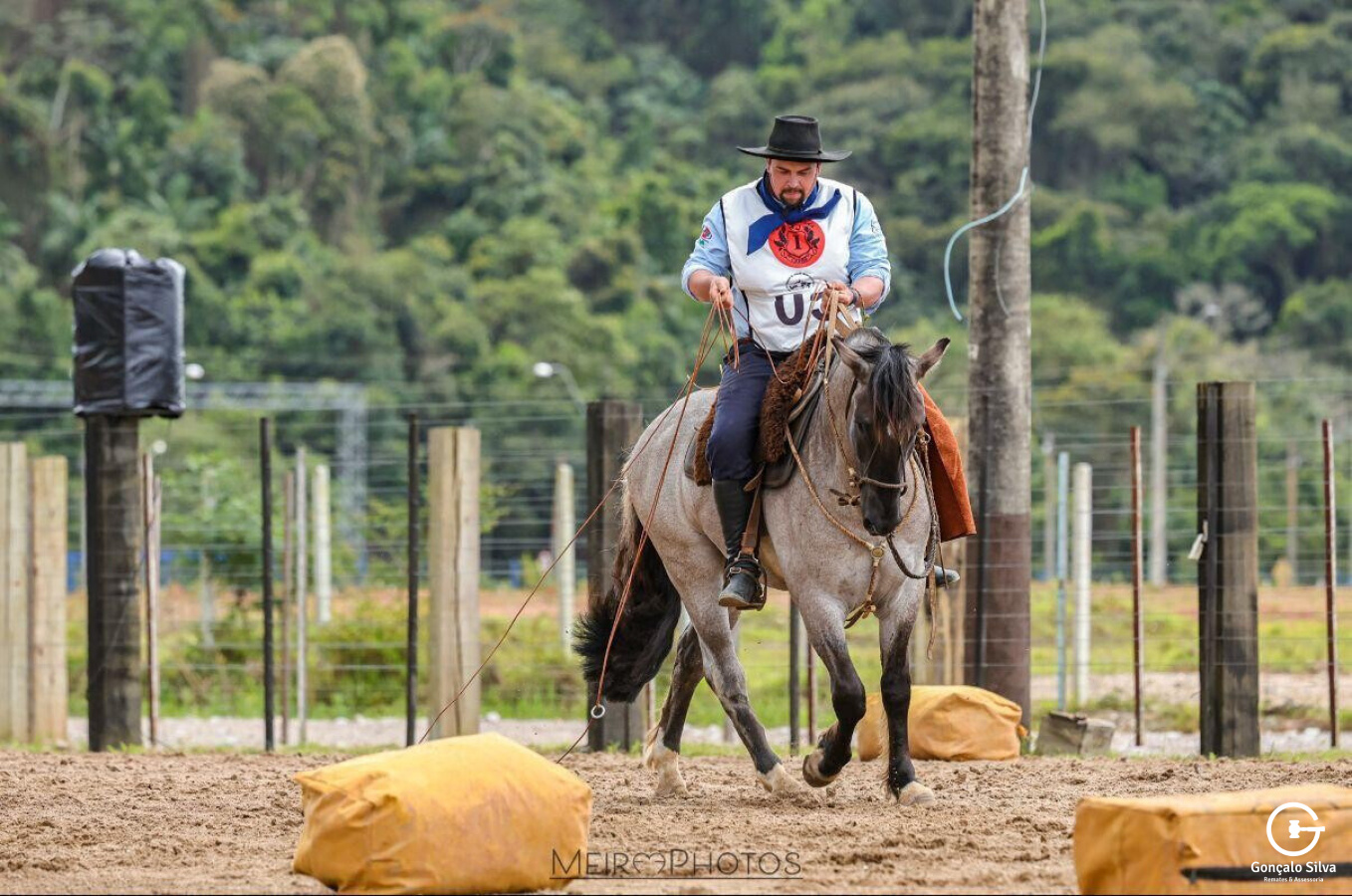 FILHO DE FERIADO DE SANTA EDWIGES 