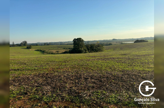 600 Hectares em Pinheiro Machado/Rs