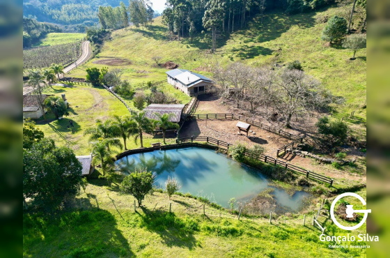 Propriedade Rural com 24 Hectares na Serra Gaúcha